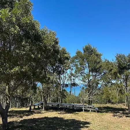 Дом отдыха Casa Da Vela By Ferias Em Figueira