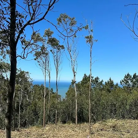 Casa Da Vela By Ferias Em Figueira Буаркуш