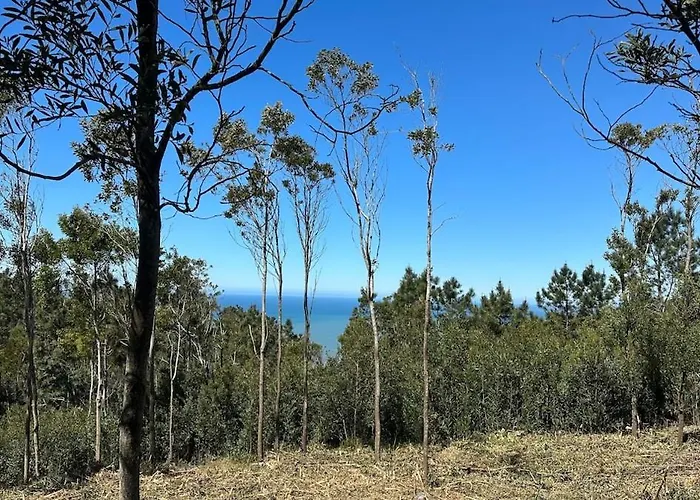 Casa Da Vela By Ferias Em Figueira Buarcos